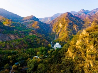 九公山长城纪念林