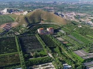 灵山宝塔陵园